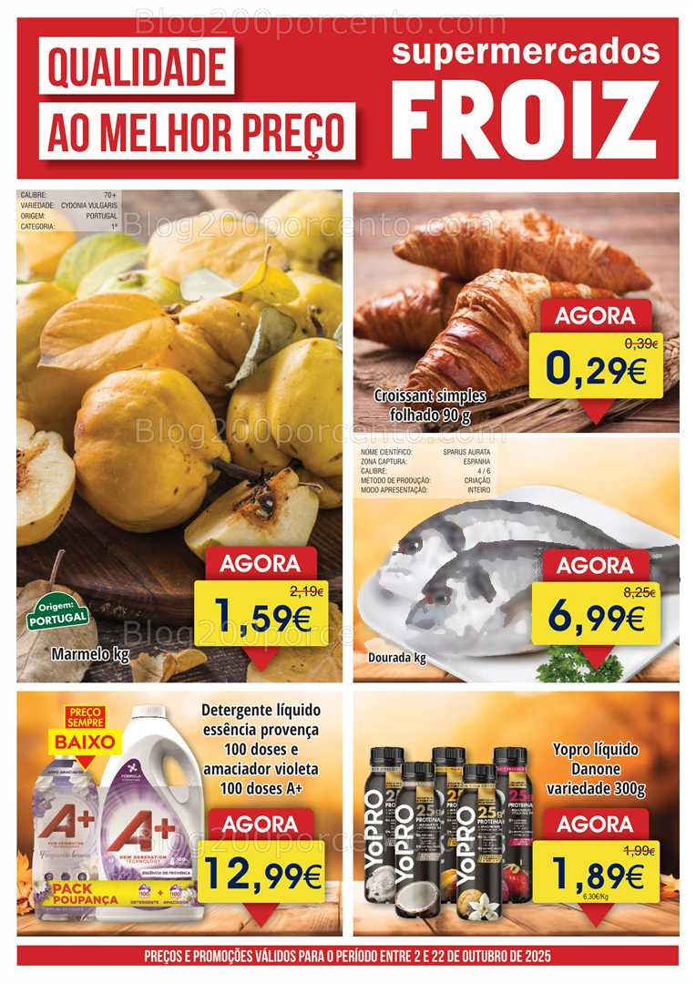 Antevisão Folheto FROIZ Promoções de 2 a 22 outubro