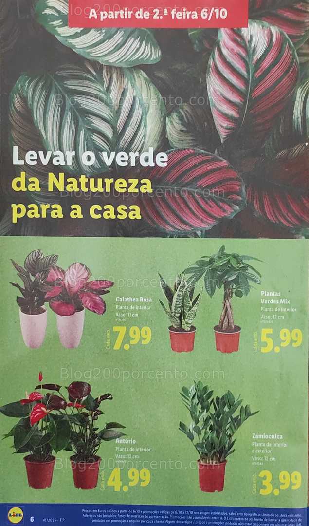 Antevisão Folheto LIDL Bazar Promoções de 6 a 12 outubro