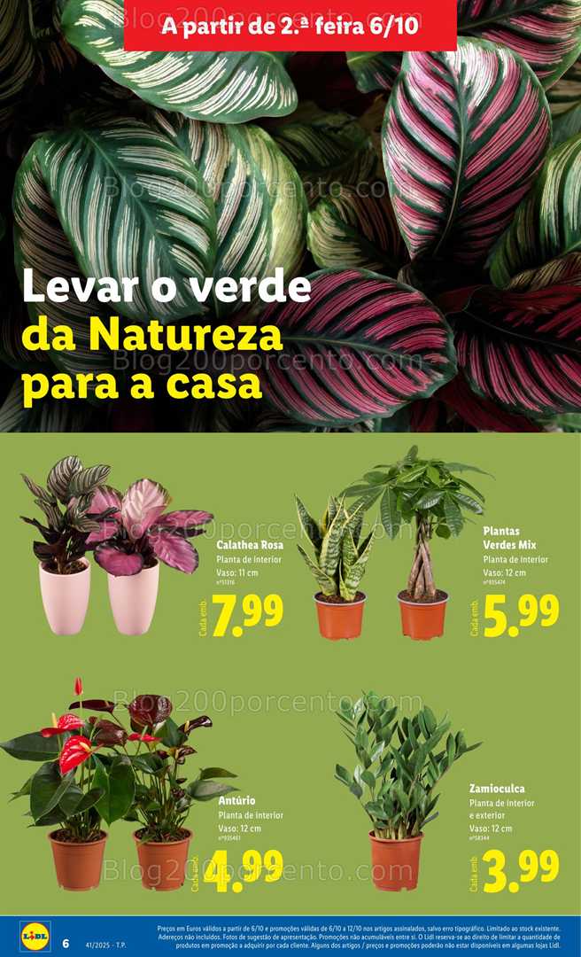 Antevisão Folheto LIDL Bazar Promoções de 6 a 16 outubro