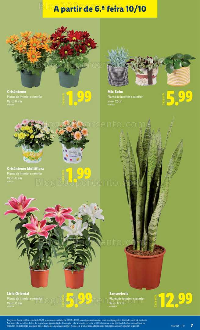 Antevisão Folheto LIDL Bazar Promoções de 6 a 16 outubro