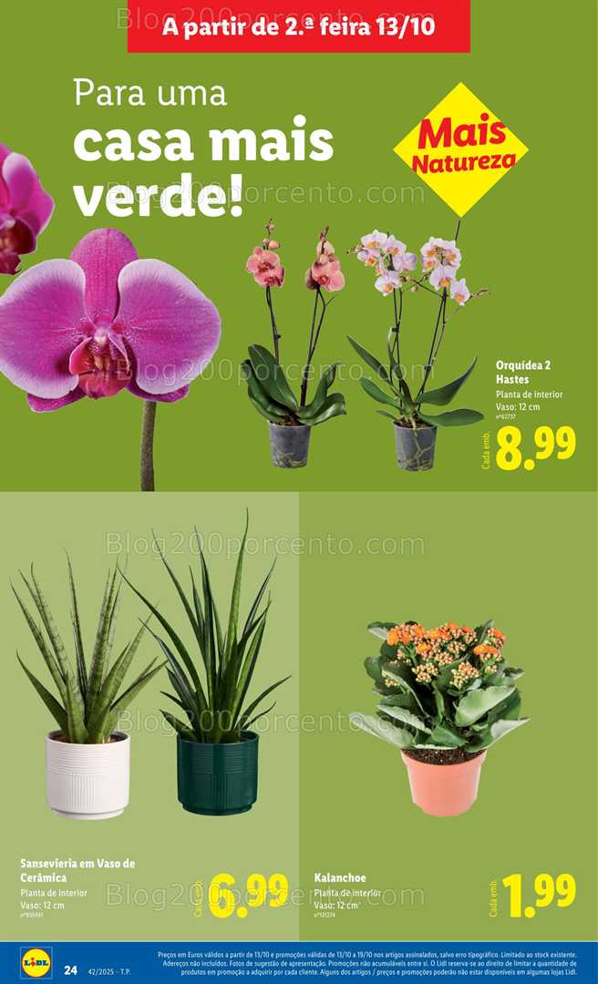 Antevisão Folheto LIDL Bazar Promoções de 13 a 23 outubro - Edição Digital