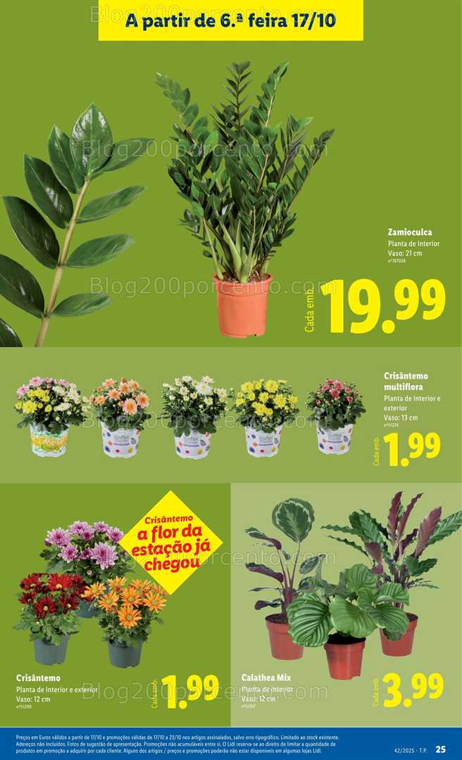Antevisão Folheto LIDL Bazar Promoções de 13 a 23 outubro - Edição Digital