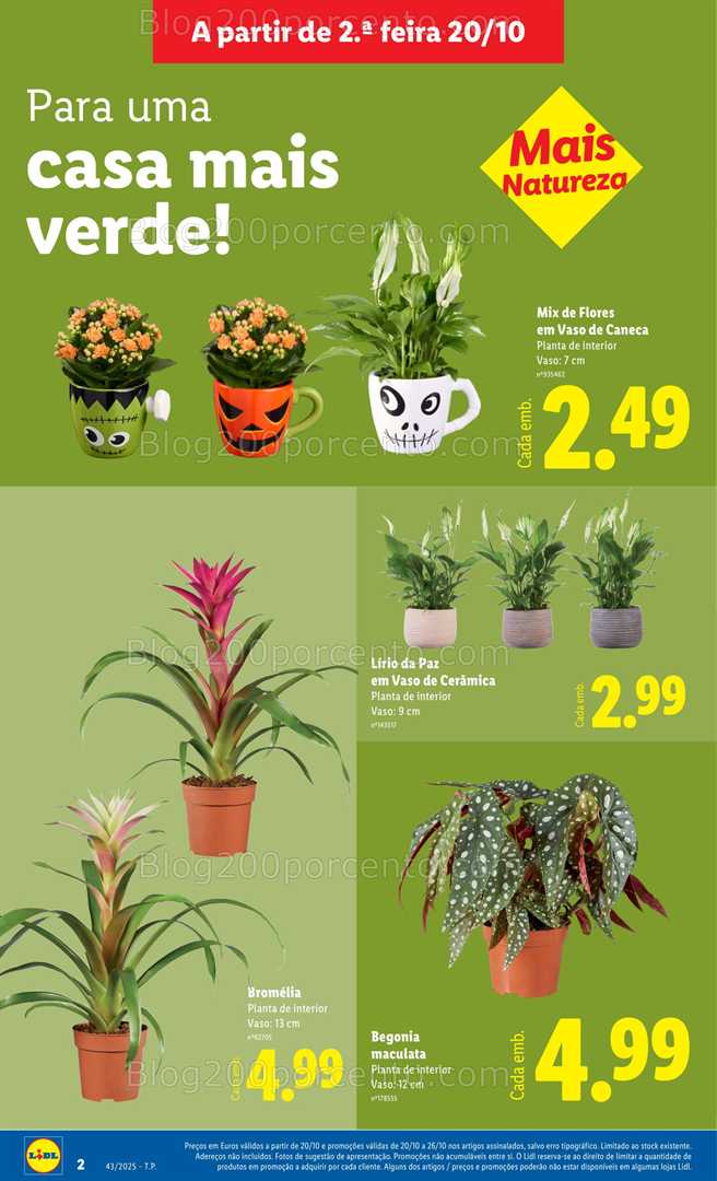 Antevisão Folheto LIDL Bazar Promoções de 20 a 30 outubro