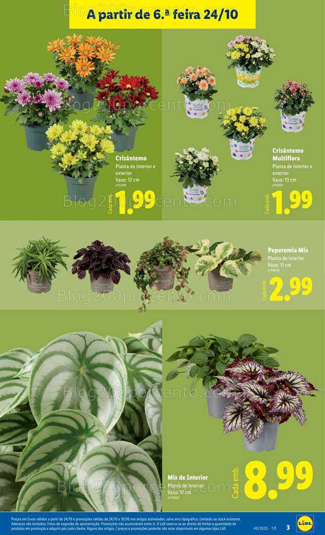 Antevisão Folheto LIDL Bazar Promoções de 20 a 30 outubro
