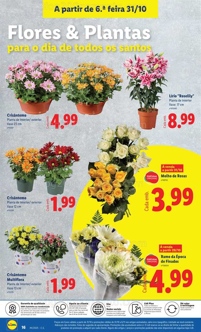 Antevisão Folheto LIDL Bazar Promoções de 27 outubro a 6 novembro - Edição Digital