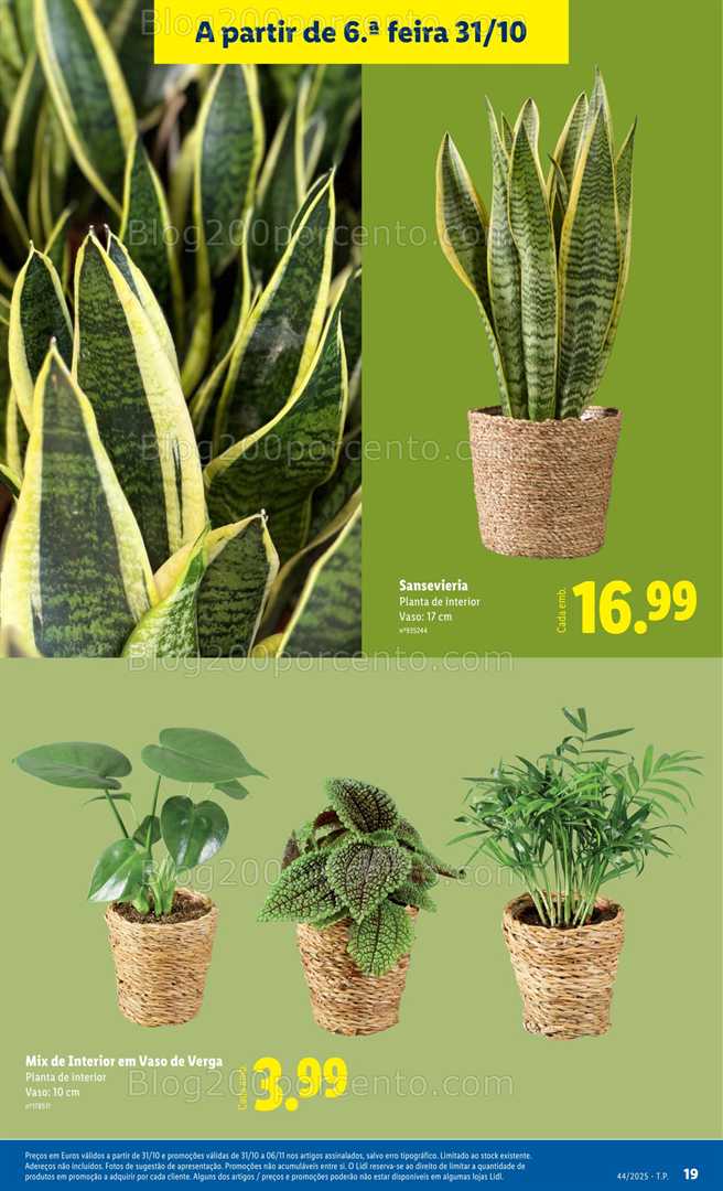 Antevis o Folheto LIDL Especial Plantas Promo es De 31 Outubro A 6 