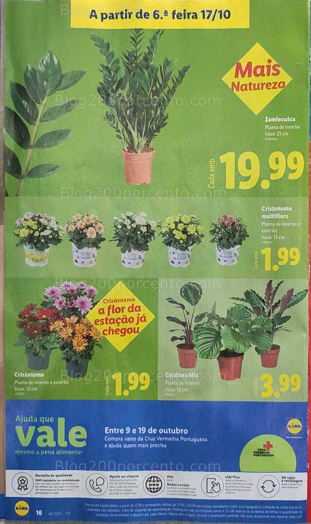 Antevisão Folheto LIDL Bazar Promoções de 13 a 23 outubro
