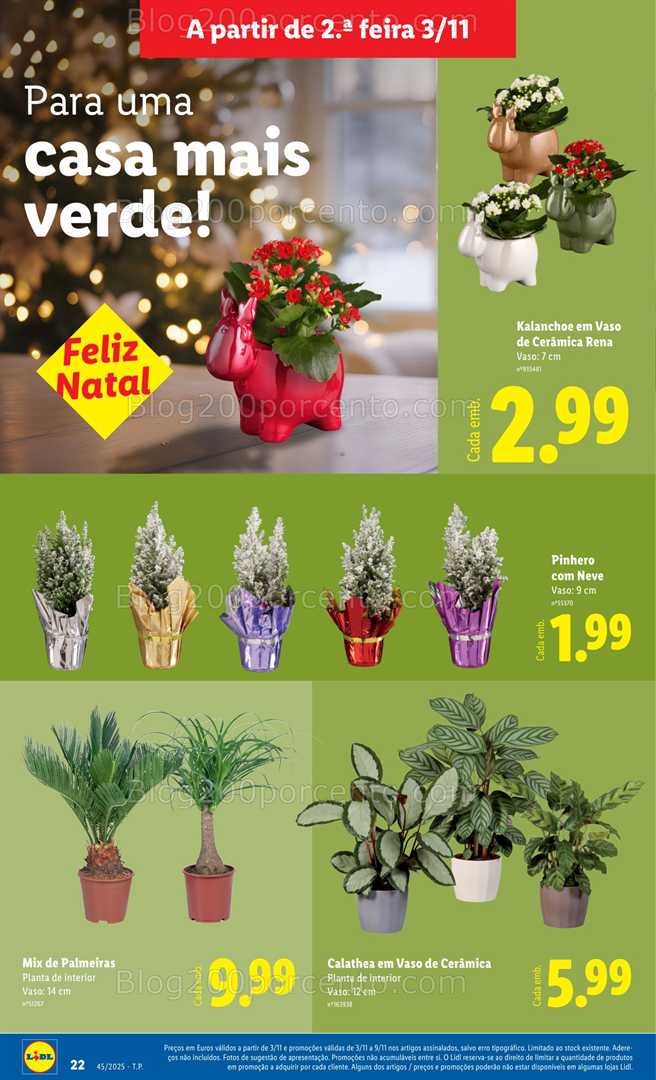 Antevisão Folheto LIDL Bazar Promoções de 3 a 13 novembro - Edição Digital