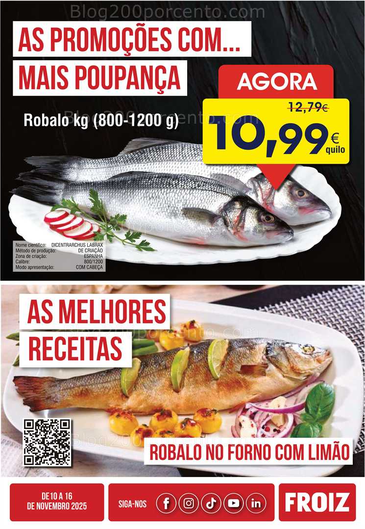 Antevisão Folheto FROIZ Promoções de 10 a 16 novembro