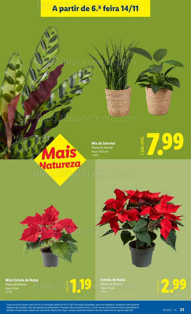 Antevisão Folheto LIDL Bazar Promoções de 10 a 20 novembro - Edição Digital