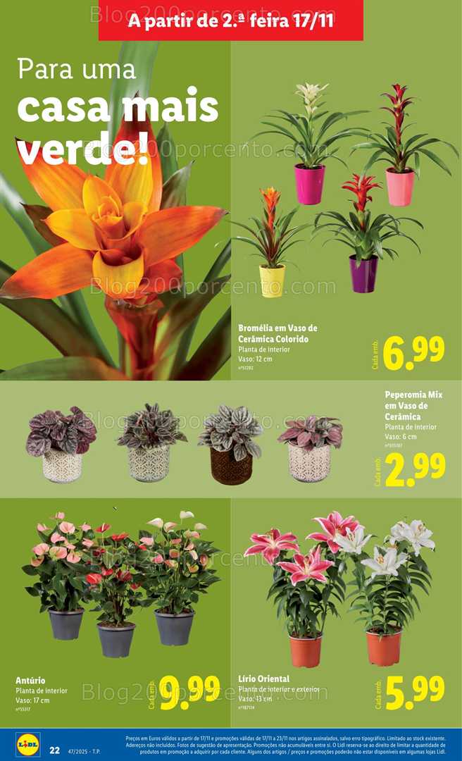 Antevisão Folheto LIDL Bazar Promoções de 17 a 27 novembro - Edição Digital