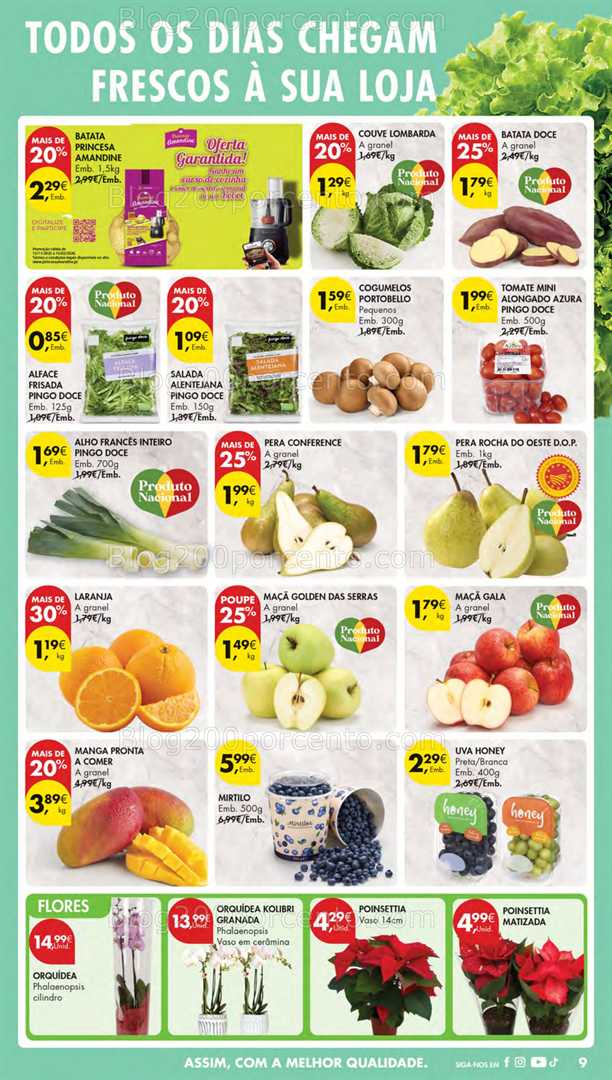Antevisão Folheto PINGO DOCE Lojas Pequenas Promoções de 25 novembro a 1 dezembro