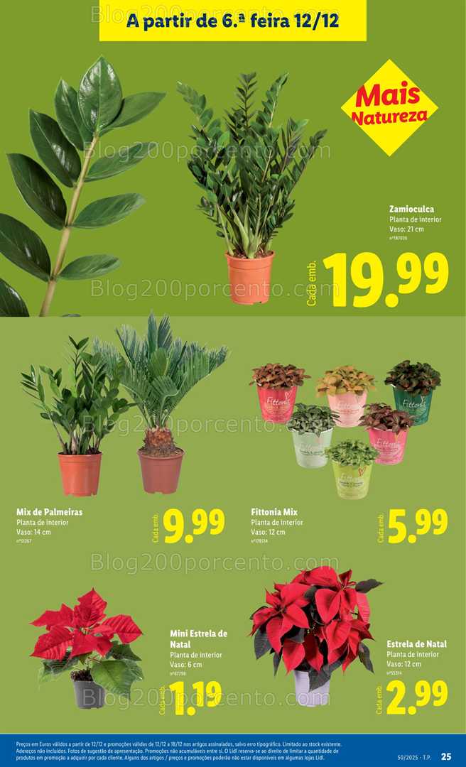 Antevisão Folheto LIDL Bazar Promoções de 12 a 18 dezembro - Edição Digital