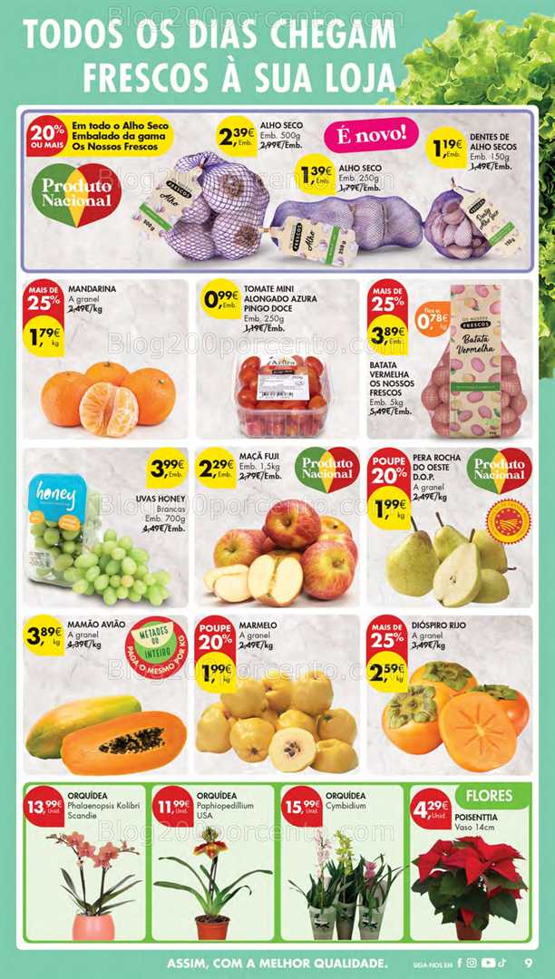 Antevisão Folheto PINGO DOCE Lojas Pequenas Promoções de 2 a 8 dezembro