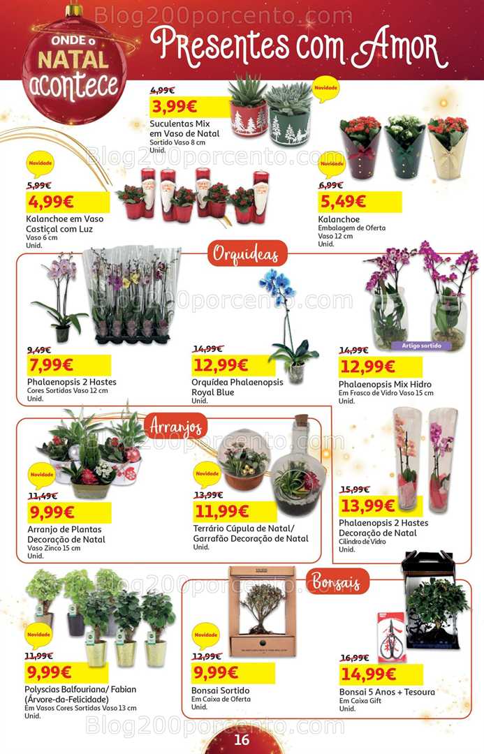 Antevisão Folheto AUCHAN Natal Promoções de 5 a 24 dezembro