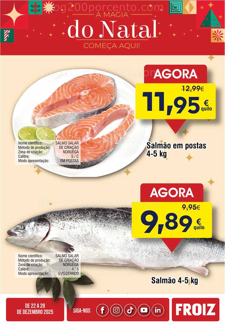 Antevisão Folheto FROIZ Promoções de 22 a 29 dezembro