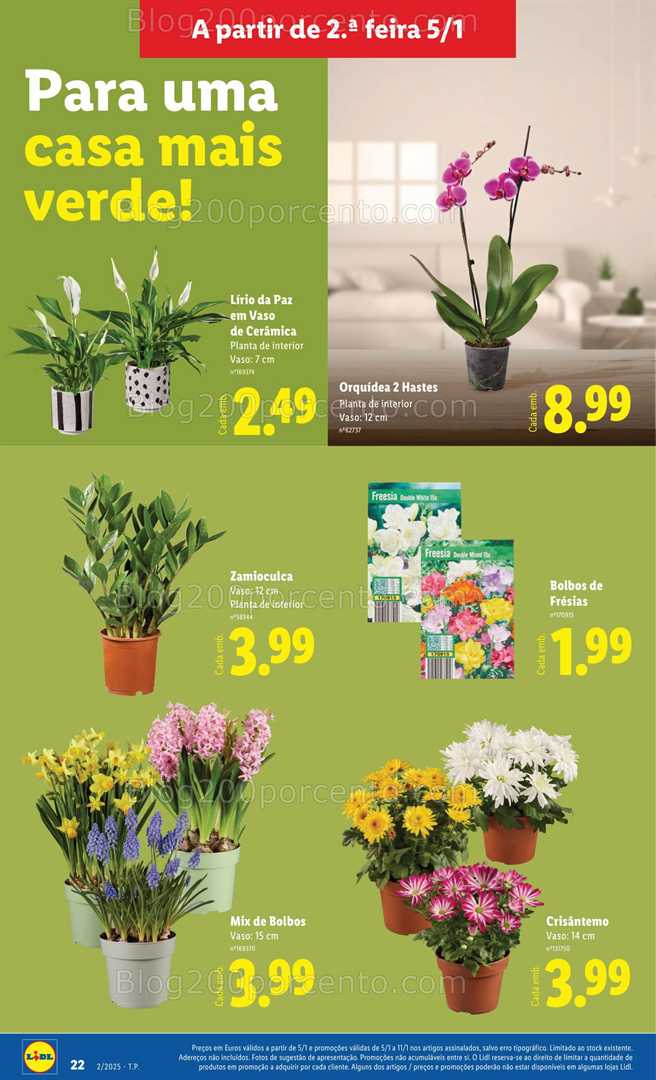 Antevisão Folheto LIDL Bazar Promoções de 5 a 15 janeiro