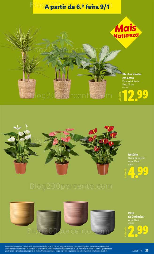 Antevisão Folheto LIDL Bazar Promoções de 5 a 15 janeiro