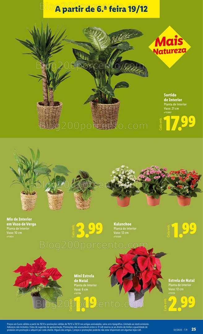 Antevisão Folheto LIDL Bazar Promoções de 15 a 25 dezembro