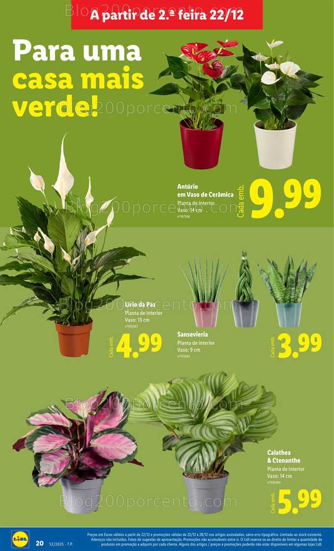 Antevisão Folheto LIDL Bazar Promoções de 26 a 31 dezembro - Edição Digital