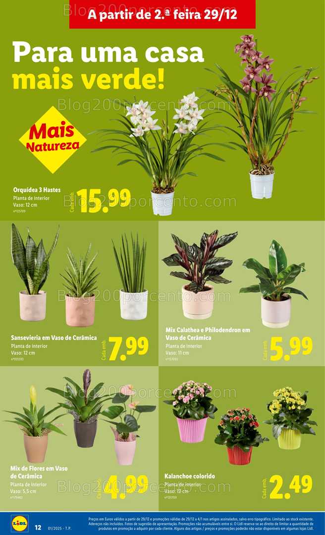 Antevisão Folheto LIDL Bazar Promoções 29 dezembro a 8 janeiro