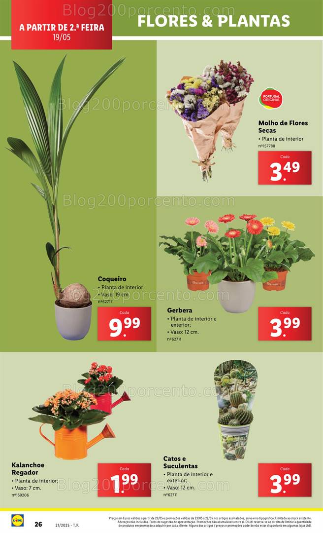 Antevisão Folheto LIDL Bazar Promoções de 19 a 25 maio all