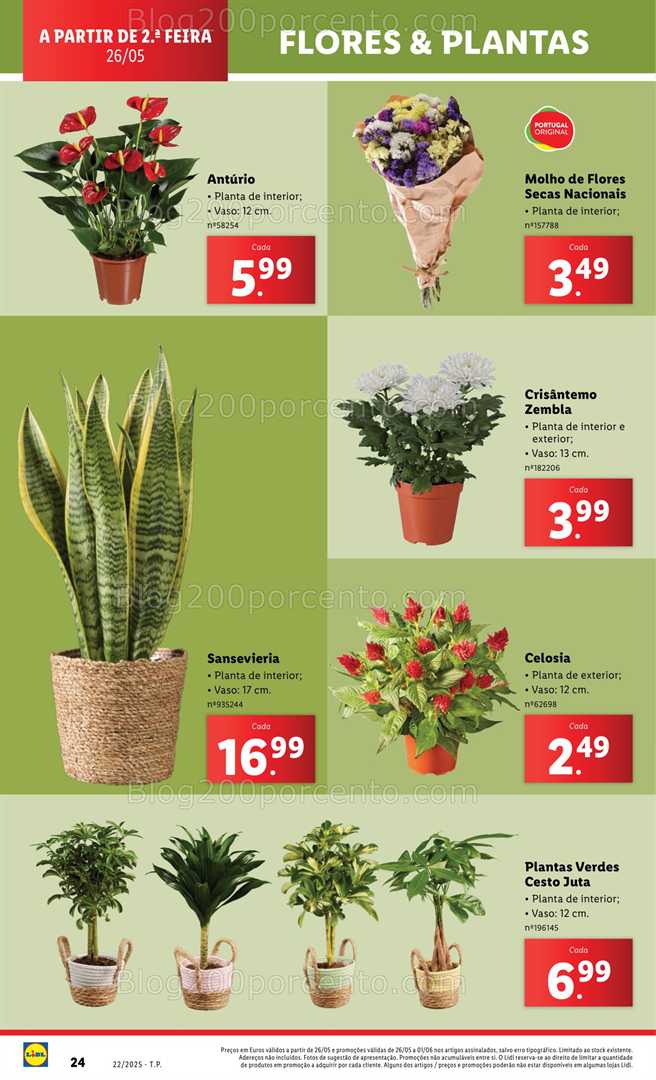 Antevisão Folheto LIDL Bazar Promoções de 26 maio a 5 junho - Edição Digital all