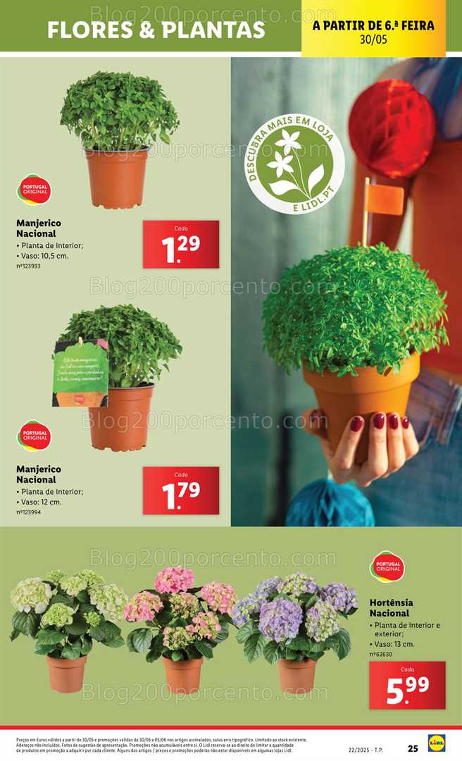 Antevisão Folheto LIDL Bazar Promoções de 26 maio a 5 junho - Edição Digital all