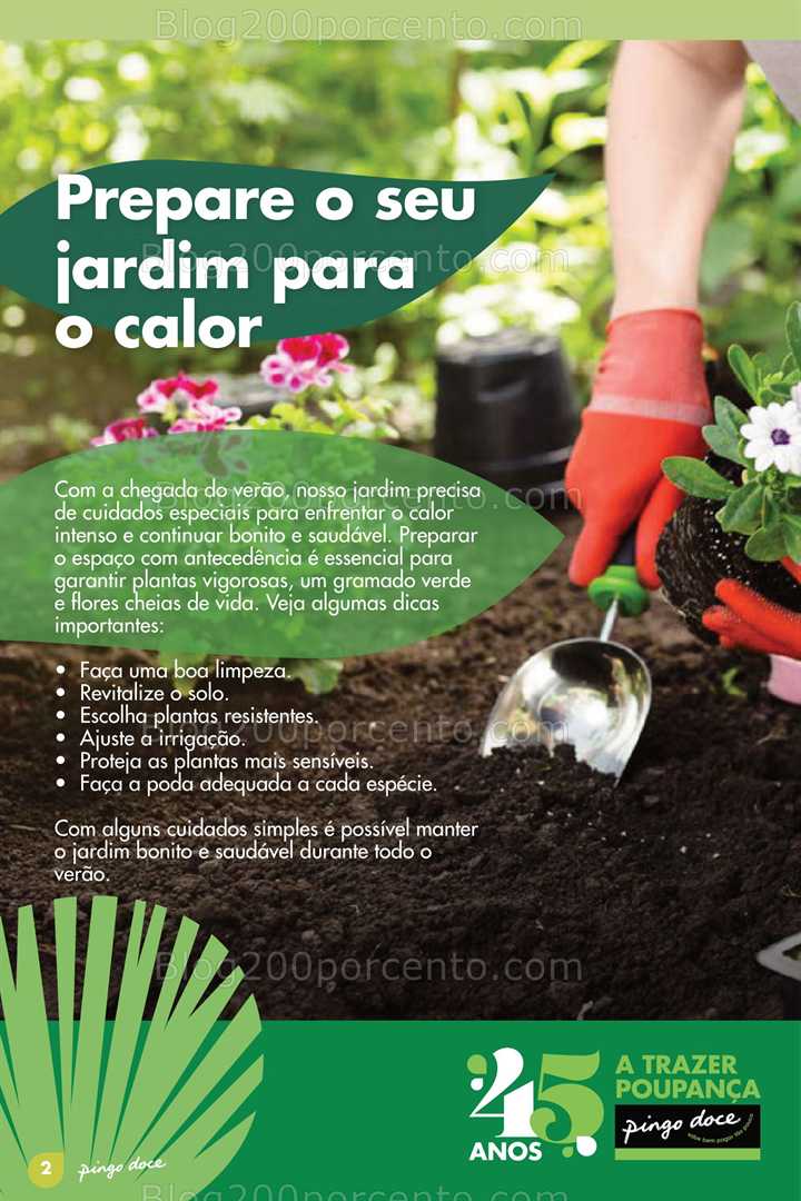 Antevisão Folheto PINGO DOCE Bazar Jardim Promoções até 9 junho jardim