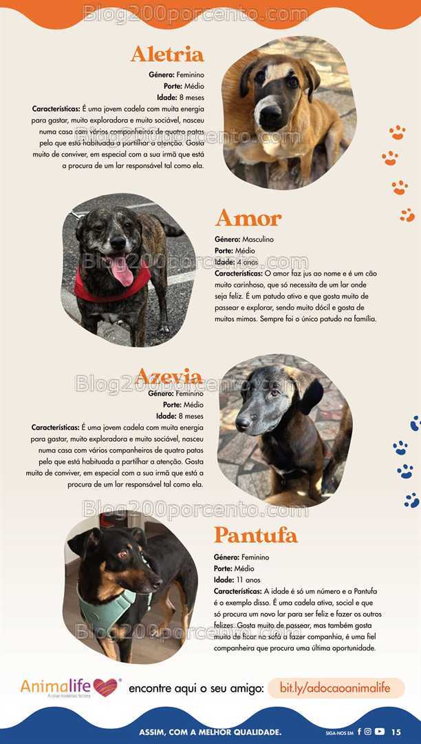 Antevisão Folheto PINGO DOCE Pet Food Grandes Promoções de 27 maio a 9 junho all
