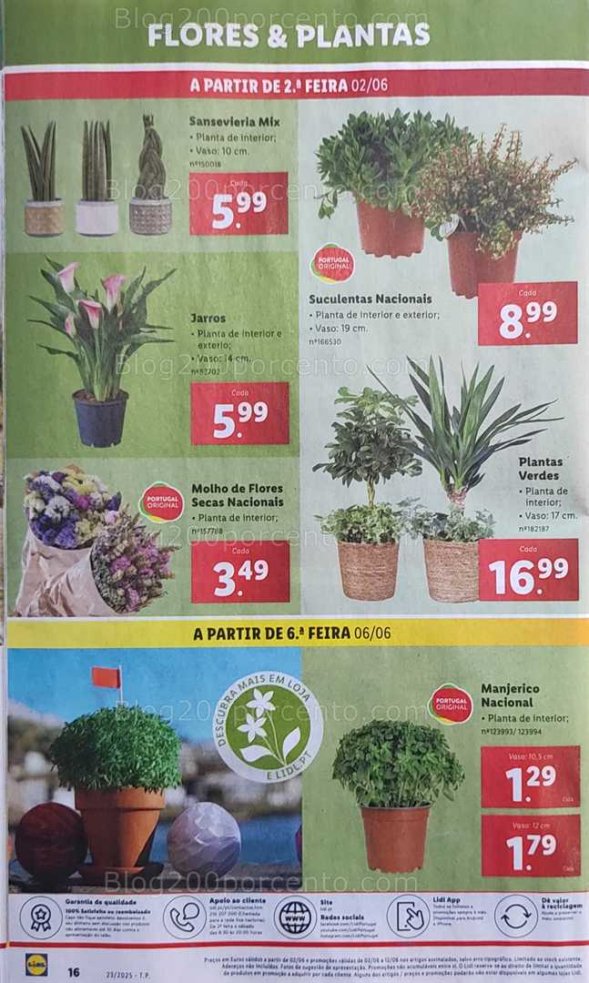 Antevisão Folheto LIDL Bazar Promoções a partir de 6 junho bazar 6ª Feira