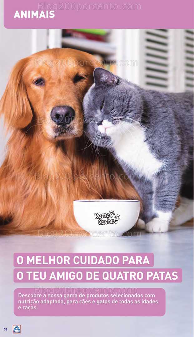 Antevisão Folheto ALDI Aberturas Promoções de 5 a 10 junho all