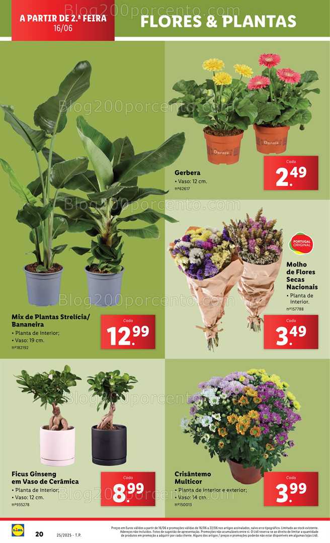 Antevisão Folheto LIDL Bazar Promoções de 16 a 26 junho - Edição Digital all