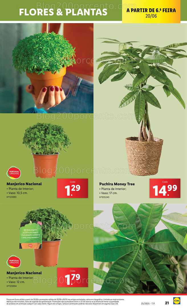 Antevis o Folheto LIDL Mercado De Plantas Promo es De 16 A 26 Junho 