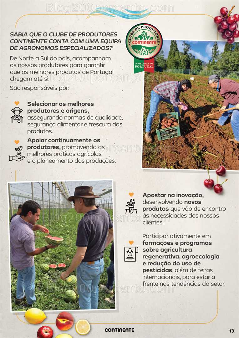 Antevisão Folheto CONTINENTE Frescos Verão Promoções de 15 a 27 julho all