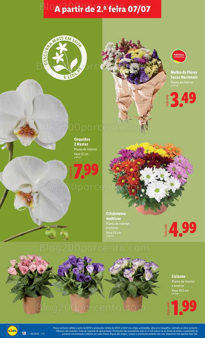 Antevisão Folheto LIDL Mercado de Plantas Promoções de 7 a 17 julho plantas