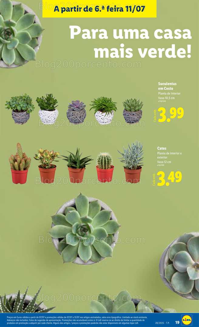 Antevisão Folheto LIDL Mercado de Plantas Promoções de 7 a 17 julho plantas