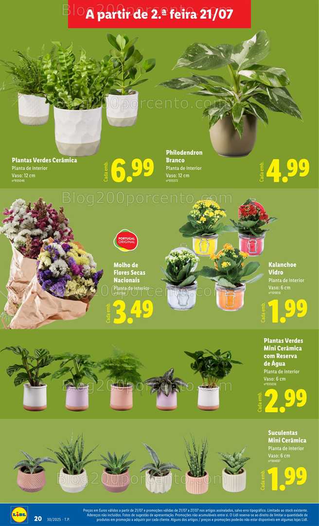 Antevis o Folheto LIDL Mercado De Plantas Promo es De 21 A 27 Julho 