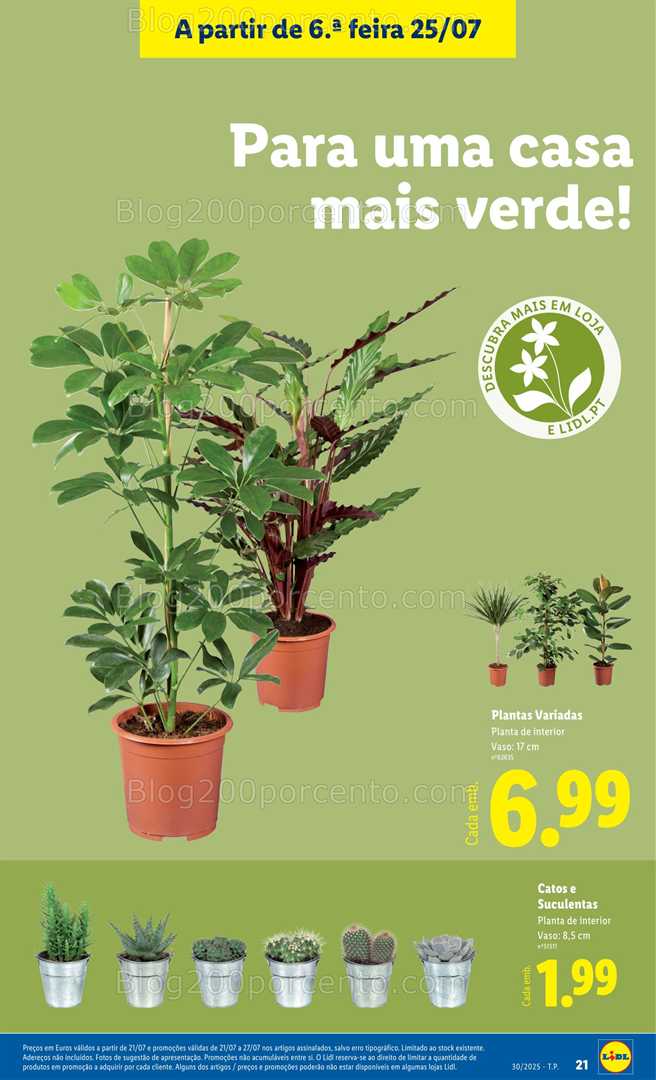 Antevis o Folheto LIDL Mercado De Plantas Promo es De 21 A 27 Julho 