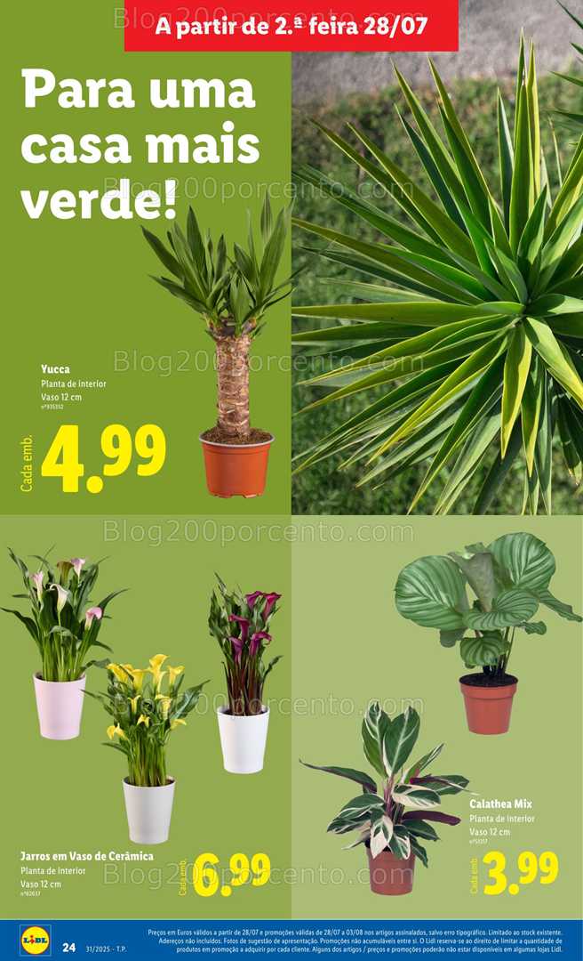 Antevisão Folheto LIDL Bazar Promoções de 28 julho a 7 agosto all