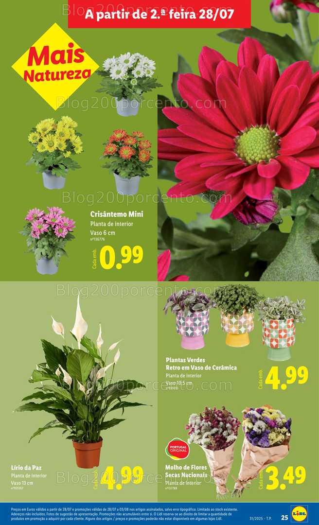 Antevisão Folheto LIDL Bazar Promoções de 28 julho a 7 agosto all