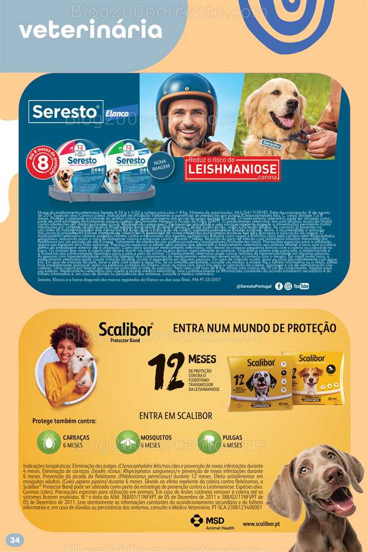 Antevisão Folheto PINGO DOCE Verão Promoções de 22 julho a 25 agosto all