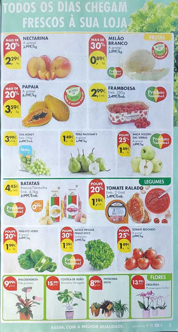 Antevisão Folheto PINGO DOCE Promoções de 29 julho a 4 agosto all