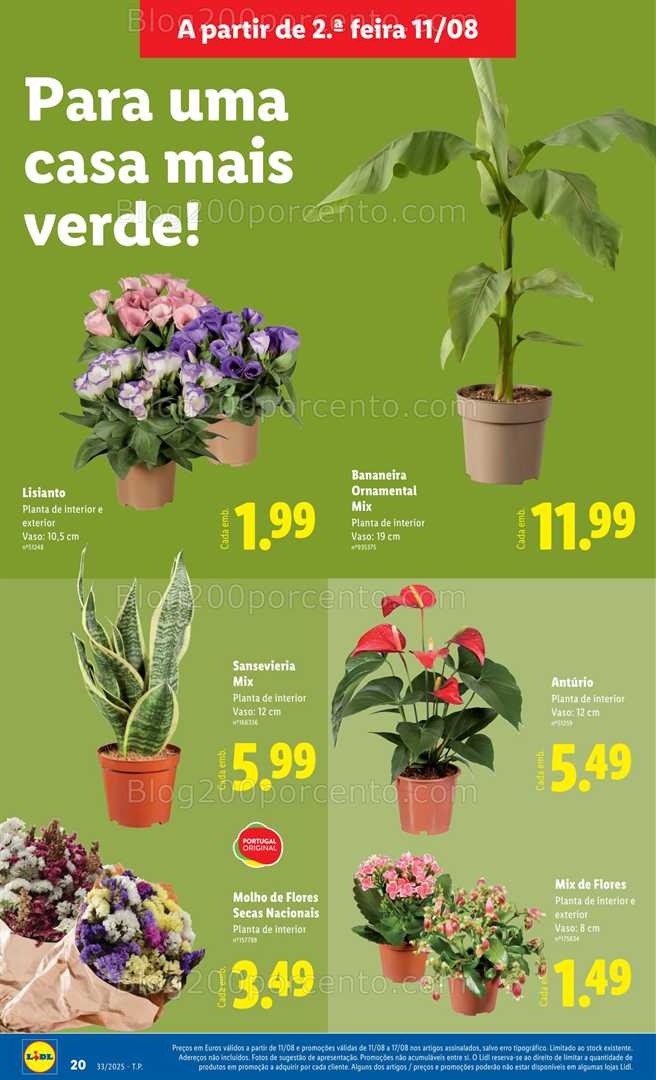 Antevisão Folheto LIDL Bazar Promoções de 11 a 21 agosto - Edição Digital all