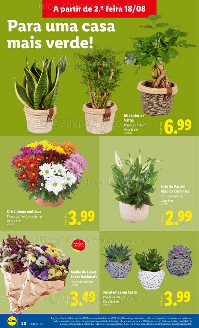 Antevisão Folheto LIDL Bazar Promoções de 18 a 28 agosto - Edição Digital