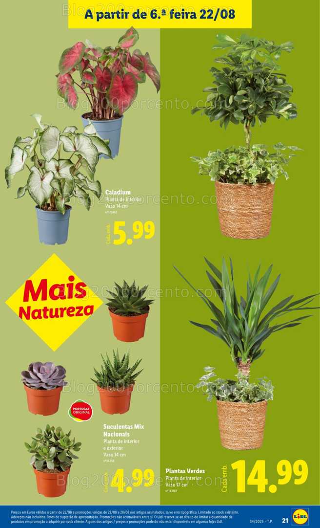 Antevisão Folheto LIDL Bazar Promoções de 18 a 28 agosto - Edição Digital