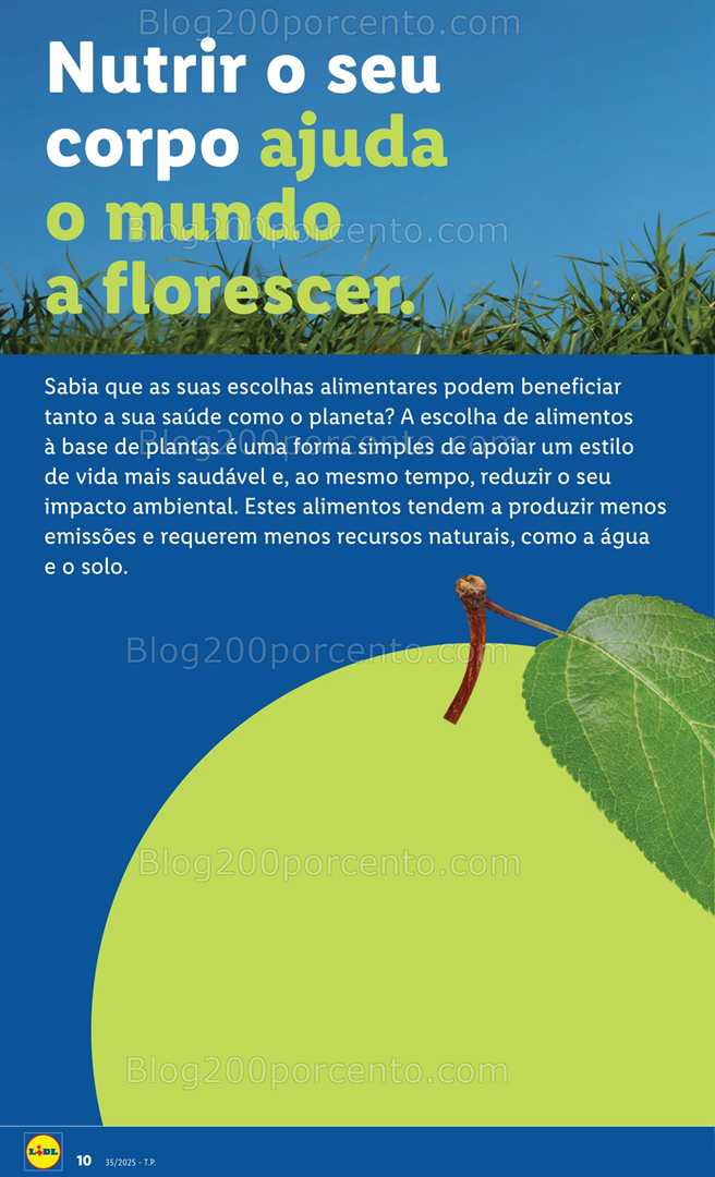 Antevisão Folheto LIDL Bazar Promoções de 25 agosto a 4 setembro