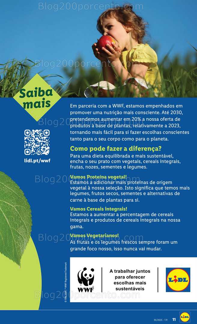 Antevisão Folheto LIDL Bazar Promoções de 25 agosto a 4 setembro