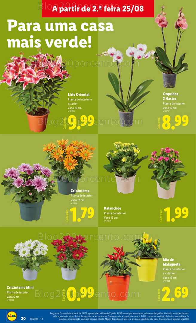 Antevisão Folheto LIDL Bazar Promoções de 25 agosto a 4 setembro