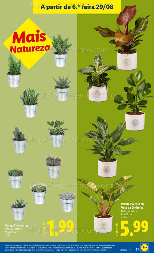 Antevisão Folheto LIDL Bazar Promoções de 25 agosto a 4 setembro